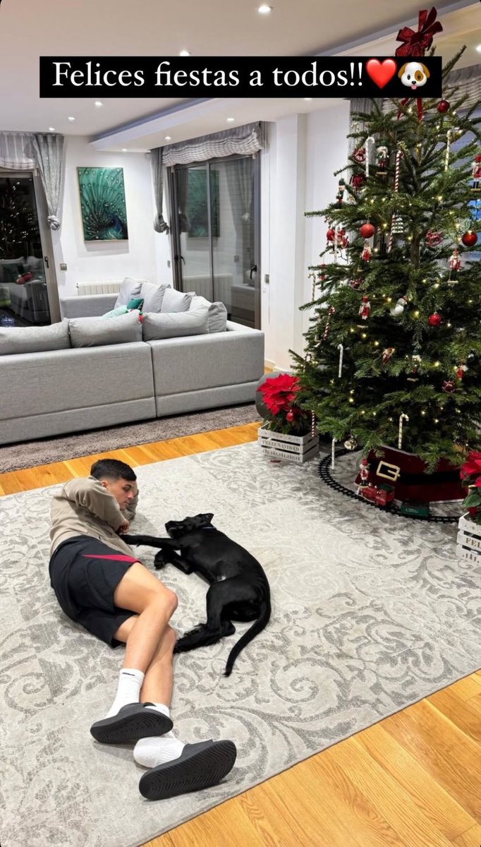 別人曬女友你曬狗，佩德里社媒曬照與愛(ài)犬共度平安夜??</p>
                    </div>

                    <br />
                    <div   id=